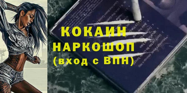 СК Каменногорск