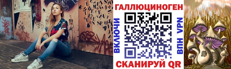Галлюциногенные грибы Magic Shrooms  kraken ТОР  Хасавюрт 