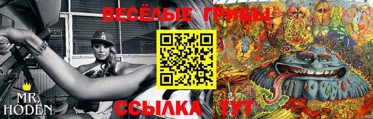 Псилоцибиновые грибы Cubensis  Псилоцибиновые грибы мухоморы  Хасавюрт  Вход с VPN 